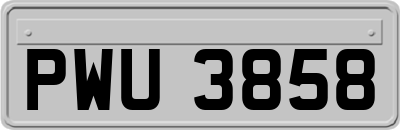 PWU3858