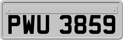 PWU3859