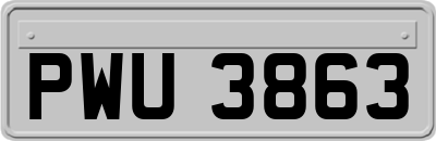 PWU3863