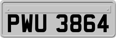 PWU3864