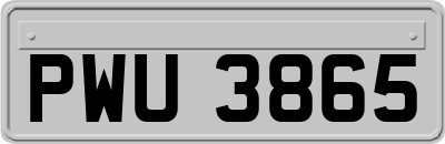 PWU3865