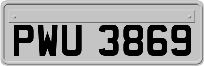 PWU3869