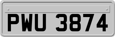 PWU3874