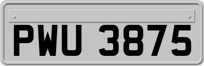 PWU3875