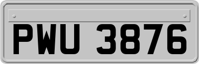 PWU3876