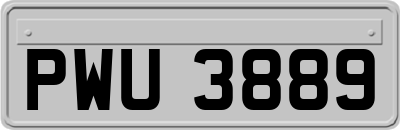 PWU3889