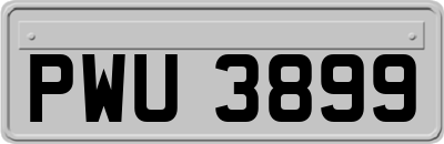 PWU3899