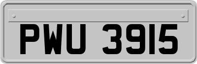 PWU3915