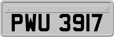PWU3917
