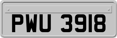 PWU3918