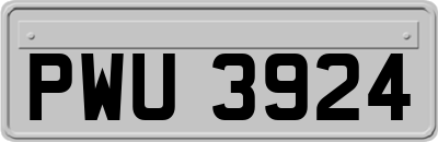 PWU3924