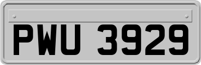 PWU3929