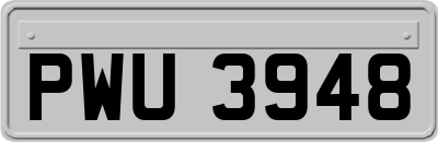 PWU3948