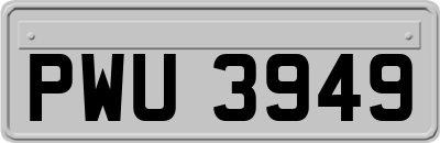 PWU3949