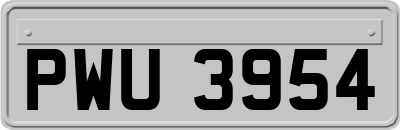 PWU3954