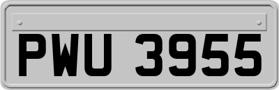 PWU3955