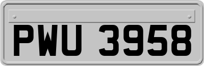 PWU3958