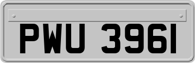 PWU3961