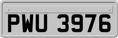 PWU3976