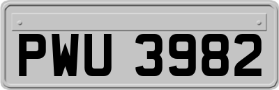 PWU3982