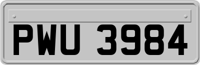 PWU3984