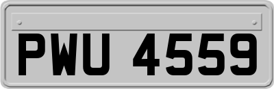 PWU4559