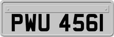 PWU4561