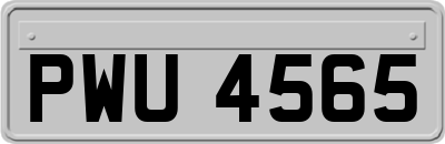 PWU4565