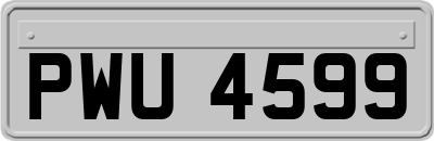 PWU4599