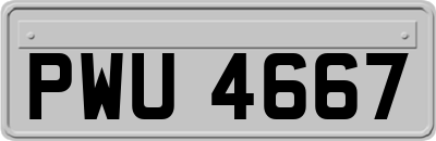 PWU4667