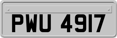 PWU4917