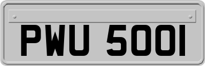 PWU5001