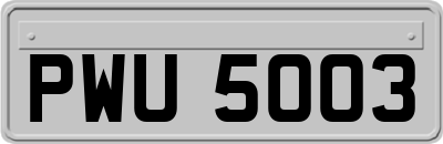 PWU5003