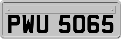 PWU5065