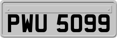 PWU5099