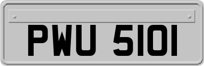 PWU5101