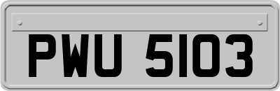 PWU5103