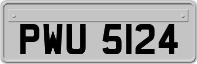 PWU5124