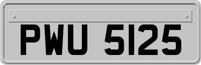 PWU5125