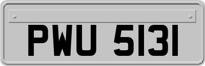 PWU5131