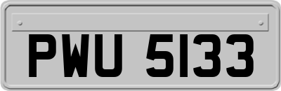 PWU5133