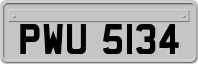 PWU5134