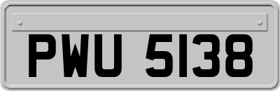 PWU5138