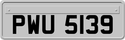 PWU5139