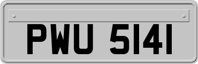 PWU5141