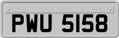 PWU5158