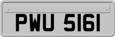 PWU5161