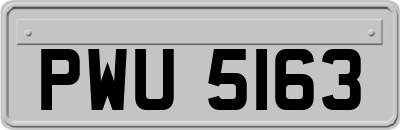 PWU5163