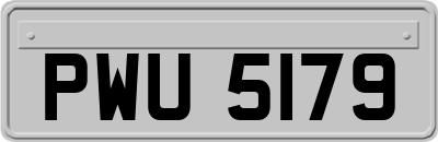 PWU5179