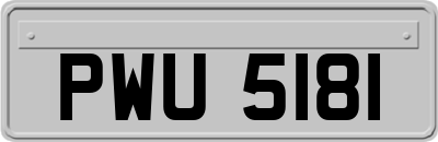 PWU5181